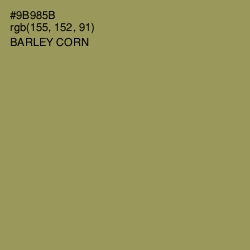 #9B985B - Barley Corn Color Image